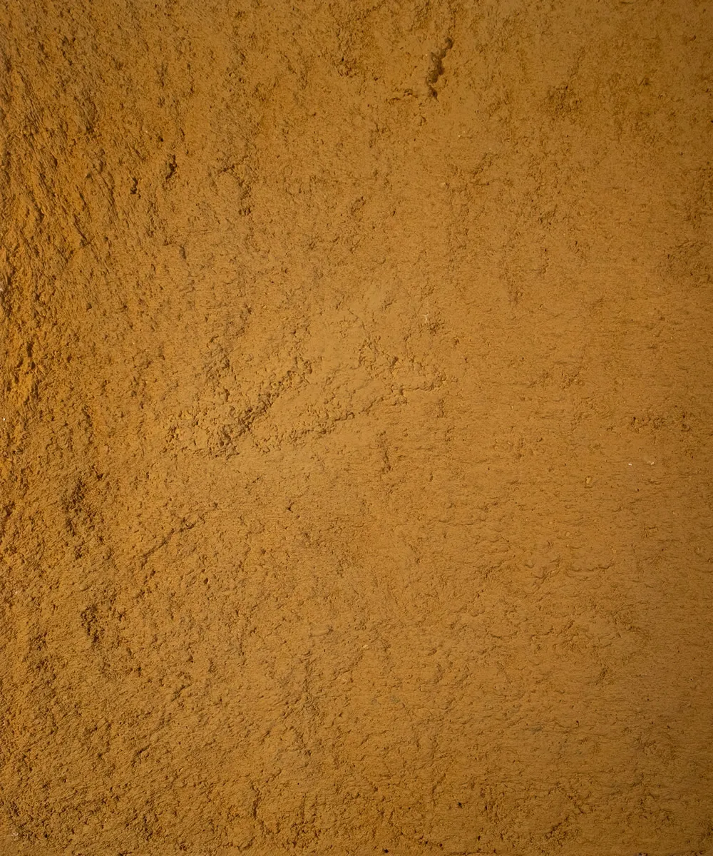 Lupi