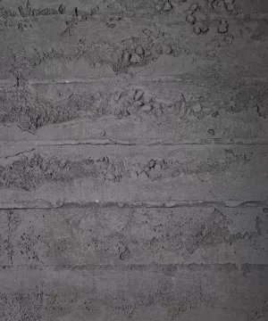 Pared