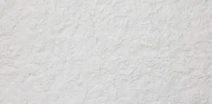 CL-8004