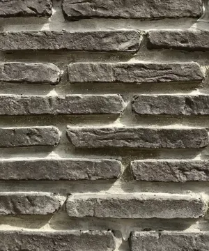 Dike