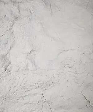 Nevada
