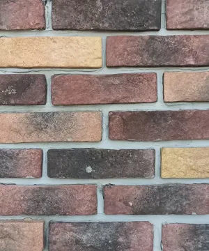 Mensa
