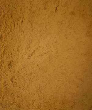 Lupi