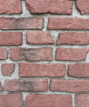 Persa
